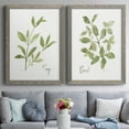 thumbnail image 7 of Herb Sage - Premium Framed Canvas 2 Piece Set - Ready to Hang, 7 of 7