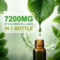thumbnail image 4 of LOVITA Chlorophyll Liquid Drops 7200mg, High Concentration, Detoxifying, Skin & Immune Health, 2 fl oz, 4 of 11