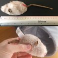 thumbnail image 5 of Pet Mouse Interactive Cat Toy Plush Toys for Dogs and Cats (Mouse), 5 of 5