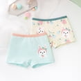 thumbnail image 2 of Little Kids Girls Underwear Toddler Soft Cotton Boxer Briefs Panties Cute Pattern Boyshorts (3-11years), 4 Pack, 2 of 9