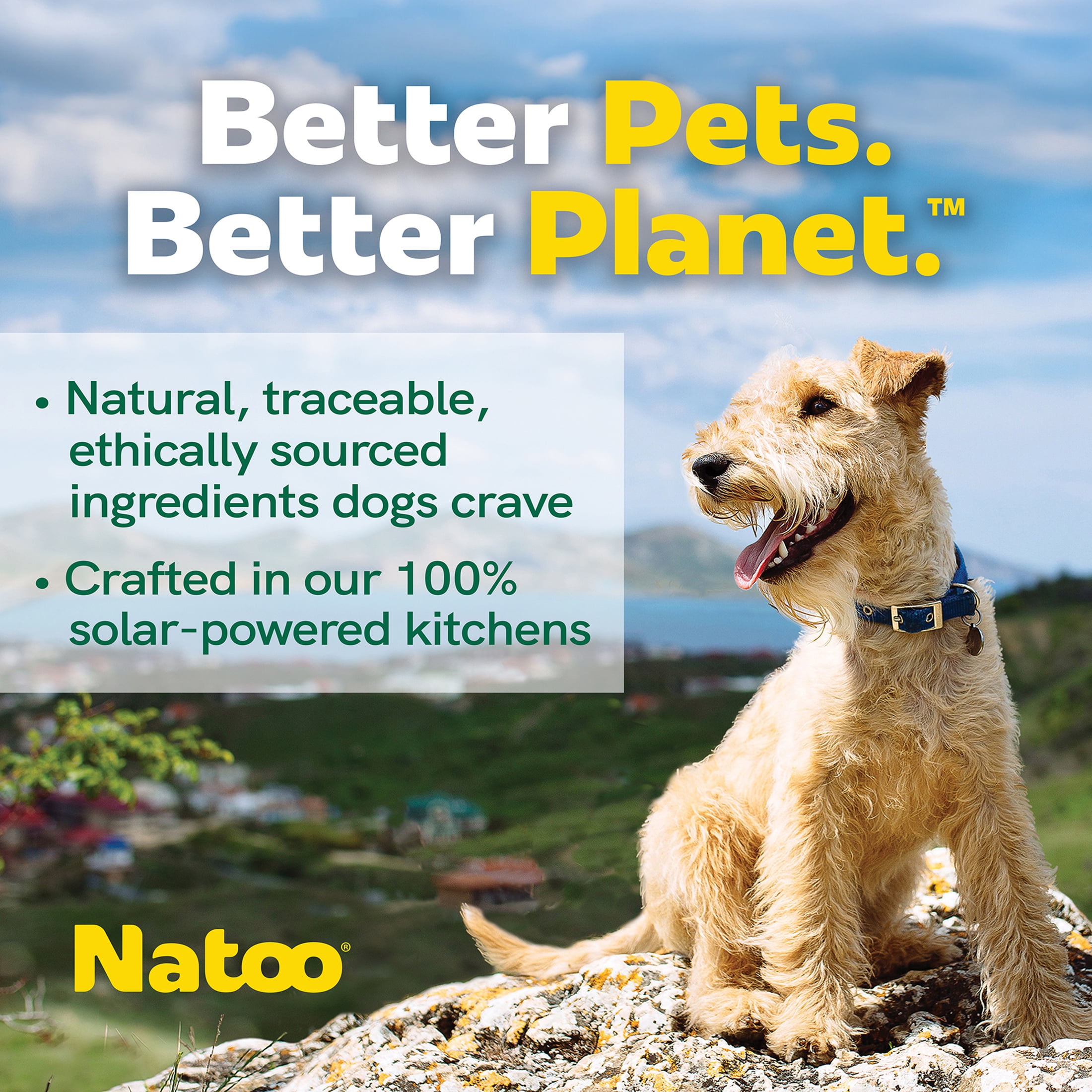 NATOO Dog Food Topper for Picky Eaters & Dog Treat (Salmon & Pumpkin), Dog Toppers for Dry Food, Wet Meal Toppers for Dogs & Puppies, Limited Ingredient Dog Food, (Case of 20) 3 oz Each