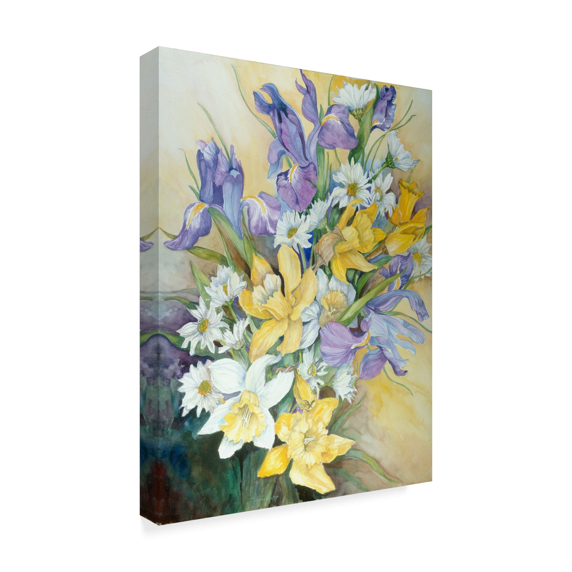 Trademark Fine Art 'Iris Daisies And Daffodils' Canvas Art by Joanne Porter