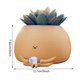 thumbnail image 3 of Macetas bonitas de 4/5 pulgadas, macetero de flores de mesa para el hogar, Cactus suculento, 3 of 8