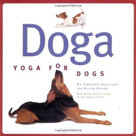 Doga : Yoga For Dogs (Paperback)