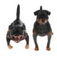 thumbnail image 1 of 2 uds simulación de animales salvajes modelo Rottweiler perro mascota figuras de acción chico juguete educativo hogar figuritas coleccionables decorac Sunnimix Juguete modelo animal, 1 of 8