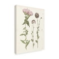 thumbnail image 2 of Trademark Fine Art 'Pressed Blooms III' Canvas Art by Grace Popp, 2 of 4