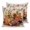 Beige Pumpkin Orange, variant on Pillow Covers 18x18 Set of 2, Pumpkin Football Fall Throw Pillow Covers Decorative Couch Cushion Cover, Thanksgiving Sunflower Maple Beige Microfiber Soft Pillowcases for Bedroom Living Room Sofa