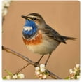 thumbnail image 3 of GZHJMY Square Drink Coasters 2 Pcs Bluethroat Bird Close Up Absorbent Ceramic Coffee Coasters for Drinks with Cork Base Housewarming Gift for Home Decor, 3 of 6