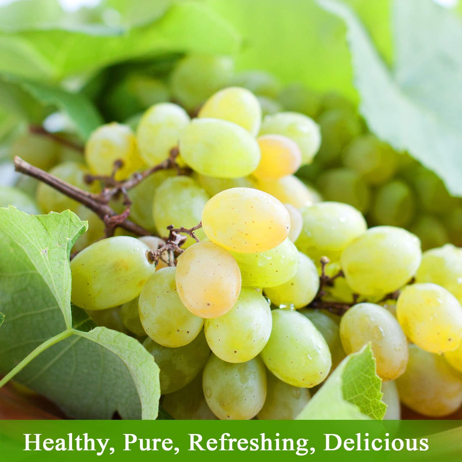 De La Rosa 613 Organic White Grape Juice, Kosher, Non-GMO, 25.4 oz Glass Bottle (Pack of 6)
