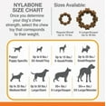 thumbnail image 6 of Nylabone Textured Ring Power Chew Toy for Dogs, Dog Toys for Aggressive Chewers, Flavor Medley, Small Dogs - Up to 25 lbs, 1 Count, 6 of 7