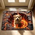 thumbnail image 5 of HCBY Doormat, 15.7x23.6in 3D Illusion Funny Welcome Mat, Non-Slip Absorbent Floor Rug, Humane Pet Deterrent Mat for Entryway Indoor Outdoor, 5 of 6