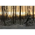 thumbnail image 2 of Frank, Jacob W. 14x11 Black Modern Framed Museum Art Print Titled - Sunrise at Norris Junction, Yellowstone National Park, 2 of 4