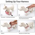 thumbnail image 3 of Dog Harness Soft Suede Fabric Pet Vest Step In Adjustable Reflective _jiue, 3 of 5