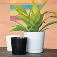 thumbnail image 5 of Root & Vessel Majestic Full Depth Cylinder Planter, White, 10", 5 of 5