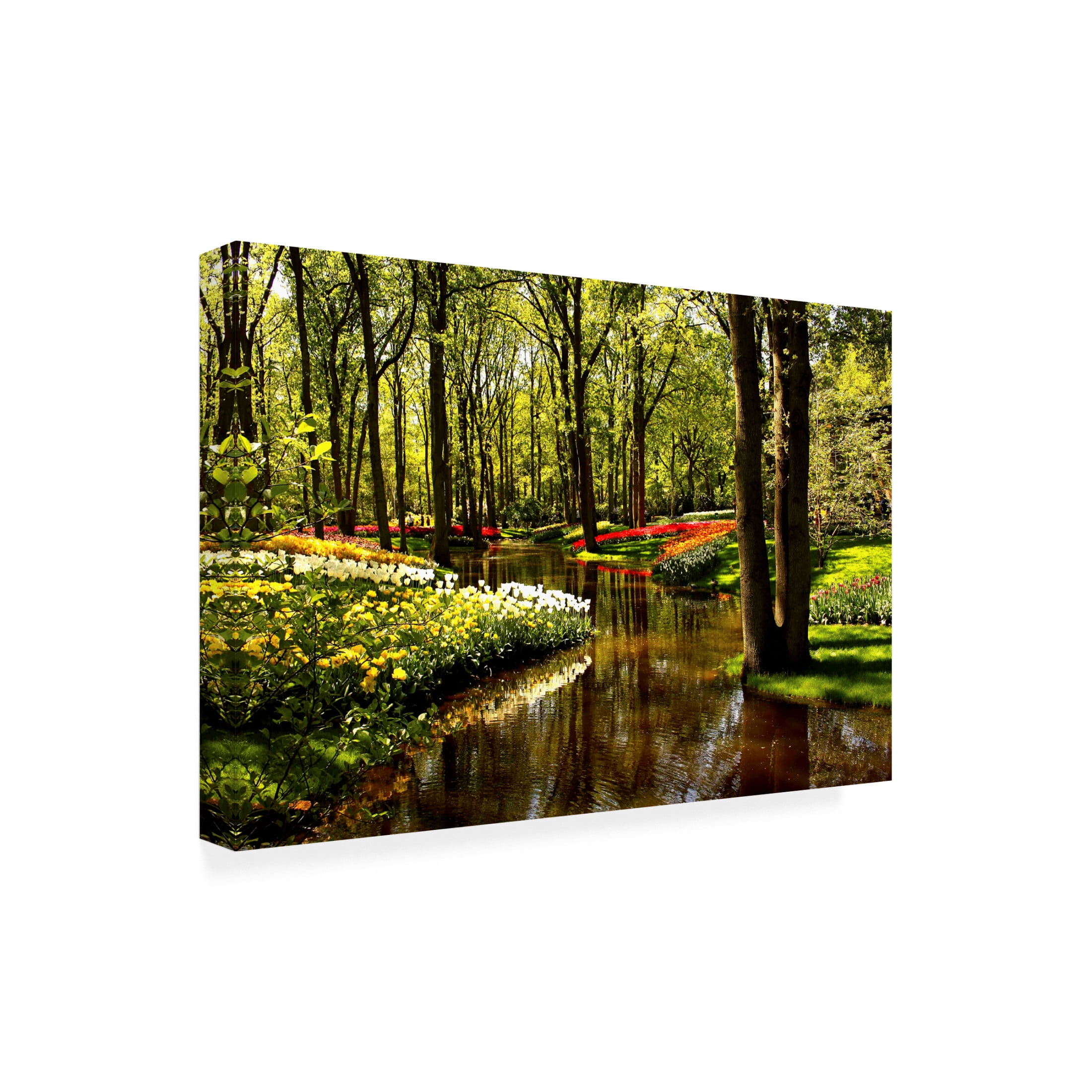 Canvas Wall Art - DANE 'Keukenhof Gardens 2' Wall Art for Living Room, Bedroom, or Office Décor by Trademark Fine Art - 19 x 12 Inches
