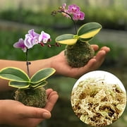 Sphagnum Moss for Plant Long Fiber Dried Forest Moss for Orchid Moss Potting Mix Natural Plant Moss for Carnivorous Plants Succulent Reptile (2.6 ounce)