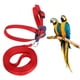 thumbnail image 4 of Correa Para Pájaros, Correa Para Loros, Cuerda De Remolque Lo Suficientemente Fuerte, Hebilla De Ajuste De Plástico, Resistente A Mordeduras Para Pájaros Para Loros ANGGREK NO, 4 of 8