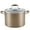 Bronze, variant on Anolon Advanced Home 10 Quart Hard-Anodized Nonstick Stockpot with Lid, Bronze