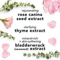 thumbnail image 5 of Mario Badescu Facial Spray Skin Care Toner with Aloe Herbs And Rosewater , 4 oz, 5 of 7