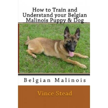 How to Train and Understand Your Belgian Malinois Puppy & (Belgian Malinois Best Guard Dogs)