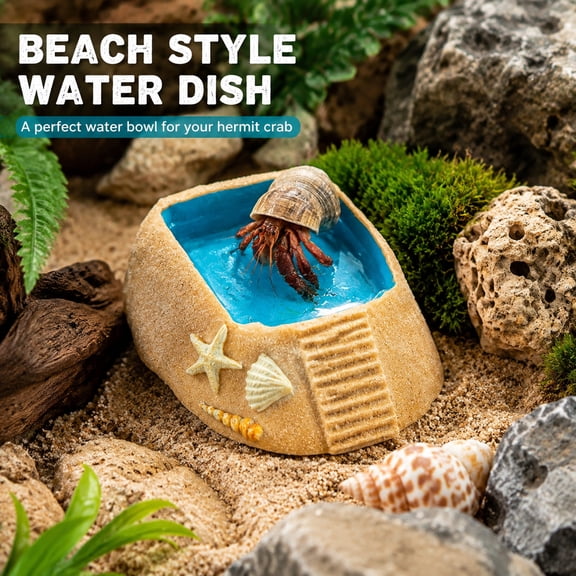 Beach Pool Hermit Crab Habitat Ornament with Climbing Ramp & Starfish Shell Conch Decor, Reptile Habitat Decoration for Small Hermit Crabs Turtles Horned Frogs