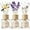 Lavender Vanilla Clean Cotton 1.6oz, variant on UniVerse Binca Vidou Reed Diffuser Set, Lavender 1.69oz Osmanthus 1.69oz Orange&Lemon 1.69oz Scent Oil Diffusers with Sticks for Home Office Bathroom Aromatherapy Decor