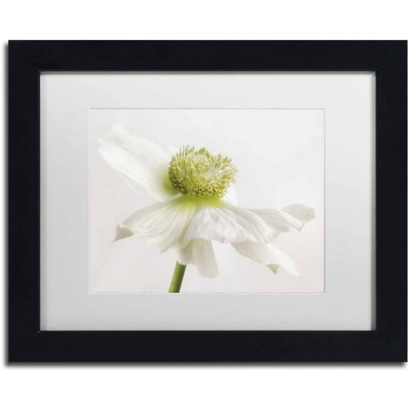 Trademark Fine Art 'White Anemone Flower' Canvas Art by Cora Niele, White Matte, Black Frame