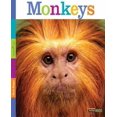 thumbnail image 1 of Singes, 1 of 1