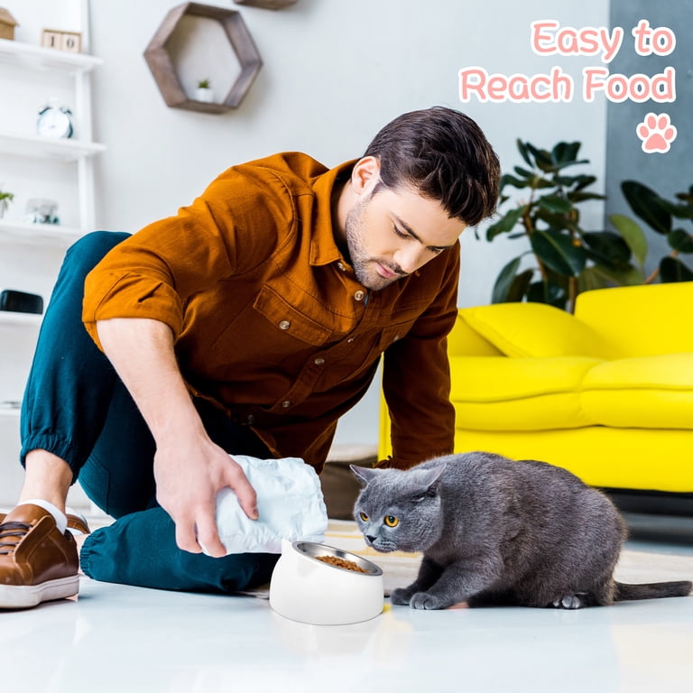 Prdigy Tilted Cat Bowls, Stainless Steel 2-Pack photo 7