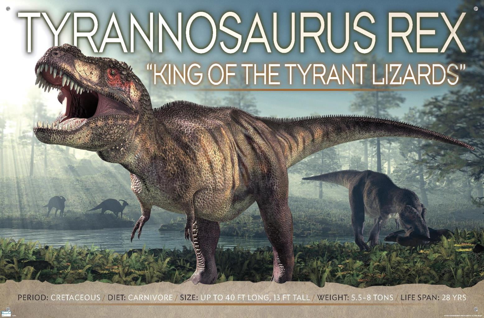 Dinosaurs - T-Rex Wall Poster with Push Pins, 22.375" x 34"