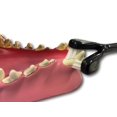 thumbnail image 2 of Dual-Ended Dog Toothbrush, Essential Dental Care Tool for Petite Canines, 2 of 3