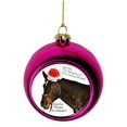 thumbnail image 1 of Horse Ornaments Christmas Got on the Naughty List for Horsing Around Santa Please Reconsider Bauble Christmas Ornaments Pink Bauble Tree Xmas Balls, 1 of 2