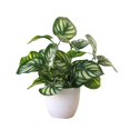 thumbnail image 3 of Mdesiwst Artificial Foliage Plant Potted Bonsai Home Mall Desk Decor, 3 of 5
