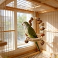 thumbnail image 3 of RKSTN Parrot Toy Swing, Bird Molar Toy, Nut Combination Biting Bird Toy A, 3 of 5
