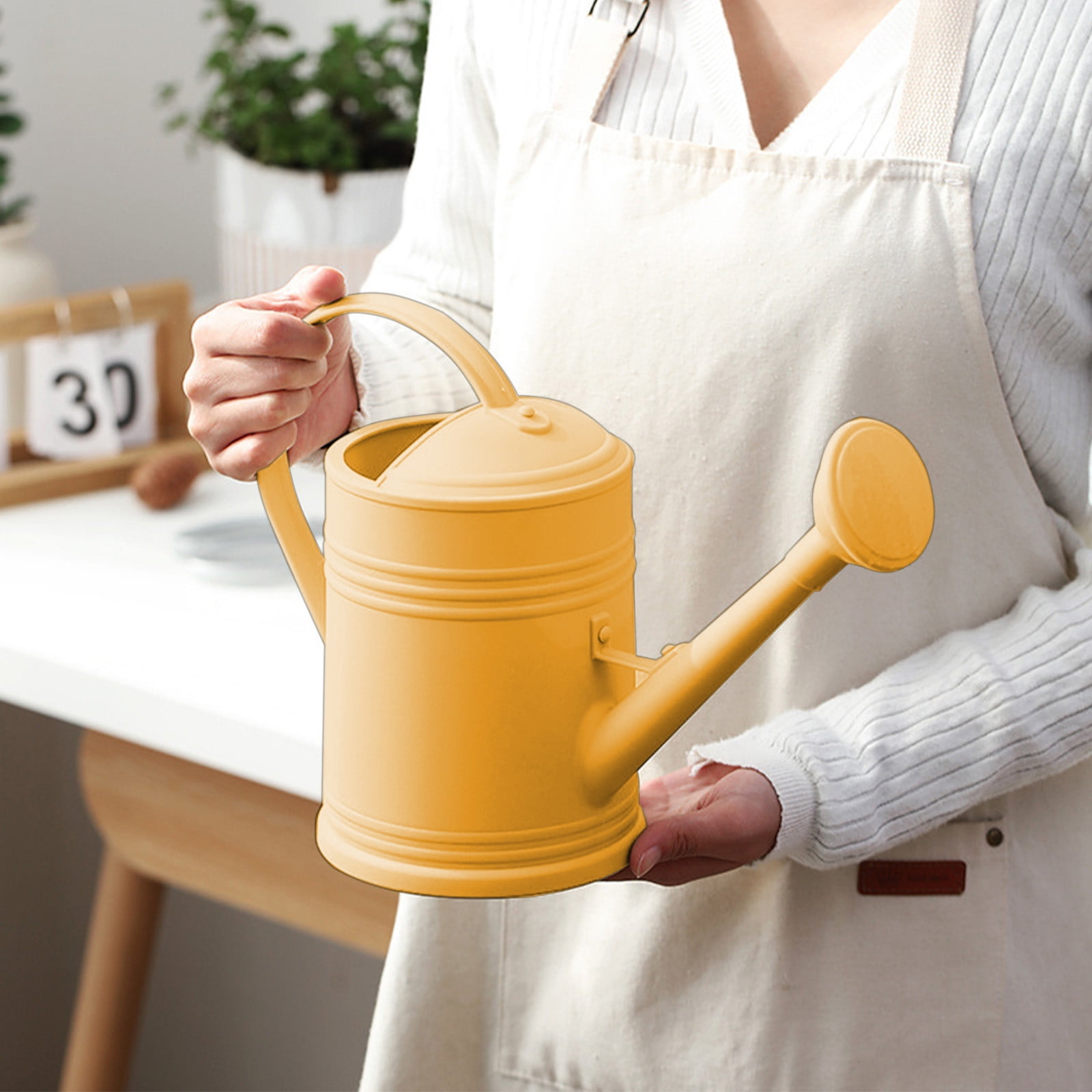 Long Spout Watering Can for Indoor Plants 2L Watering Kettle with Long Nozzle, Plastic Gardening Watering Can for Indoor Plants, Flower Wall Decor