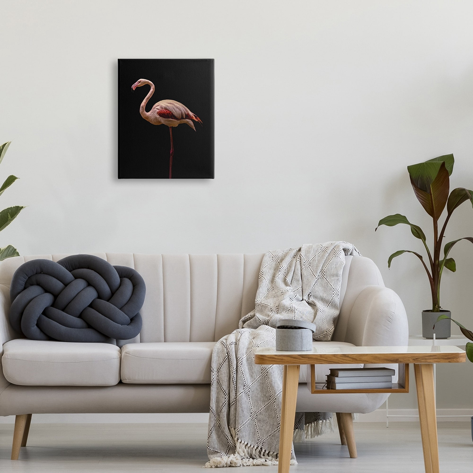 Stupell Industries Striking Pink Flamingo Portrait Detailed Photography , 16 x 20, Design by Incado