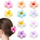thumbnail image 1 of Paquete de 10 pinzas con forma de flor HAPTIME para mujer, diseño de plumeria, 1 of 7