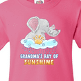 thumbnail image 4 of Inktastic Grandma's Ray Of Sunshine Cute Elephants Rainclouds and Sun Youth T-Shirt, 4 of 5