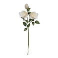thumbnail image 2 of Rewenti Rose Simulation Flower Living Room Soft Decoration Flower Arrangement Ornament Fake Floral Photography Prop, 2 of 6
