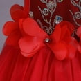 thumbnail image 6 of Toddler Kid Girl Lace Sleeveless Princess Gown Party Tulle Dress Cosplay Clothes Summer Beach Dress For Girl Fall Dress, 6 of 9