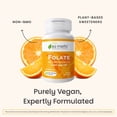 thumbnail image 6 of (2 pack) EZ Melts Dissolvable Folate 1,667 mcg DFE - Methylated Folate Supplement - Heart Health & Healthy Fetal Development - Non-GMO, Vegan & Dairy-Free - Orange Blast -60 Dissolvable Tablets (60 Servings), 6 of 11