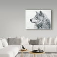 thumbnail image 3 of Trademark Fine Art 'Lanus Lupis' Canvas Art by Rusty Frentner, 3 of 3