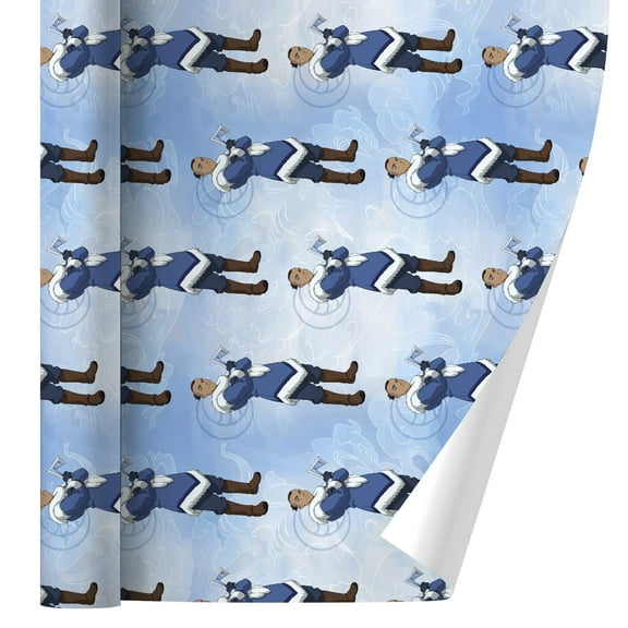 Avatar the Last Airbender Sokka Gift Wrap Wrapping Paper Rolls