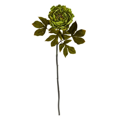 Nearly Natural 30  Peony Artificial Flower (Set of 6) Add a sense of fresh greenery into your decor scheme this season with this loose set of artificial flower stems. Arriving in a package of six  each individual stem reaches 30? long and showcases intricately designed silk peony in shades of evergreen to help evoke a sense of Mother Nature indoors. Easily incorporated into creating your own personalized bouquets and/or DIY projects  these decorative stems make for a perfect fall accent all season long. Silk picks are manufactured using synthetic materials  such as polyester material or plastic  and are well designed and constructed to be life-like in appearance. This item will need to be re-shaped when removed from the secure box to allow it to reach its fullest size. Your artificial plant stem will look beautiful for years to come; simply wipe clean with a soft dry cloth when needed.About Nearly Natural Inc. - For over 75 years  Nearly Natural Inc. has been providing conscientious consumers with beautiful alternatives to natural decorations. Employing and advised by naturalists who understand the live plant world  Nearly Natural is able to recreate the most realistic-looking decorative items for homes  offices  and businesses. Driven by a true commitment to customer service  attention to detail  and natural philosophy  Nearly Natural strives to bring customers the most beautiful  unique  and striking faux plants and floral on the market.