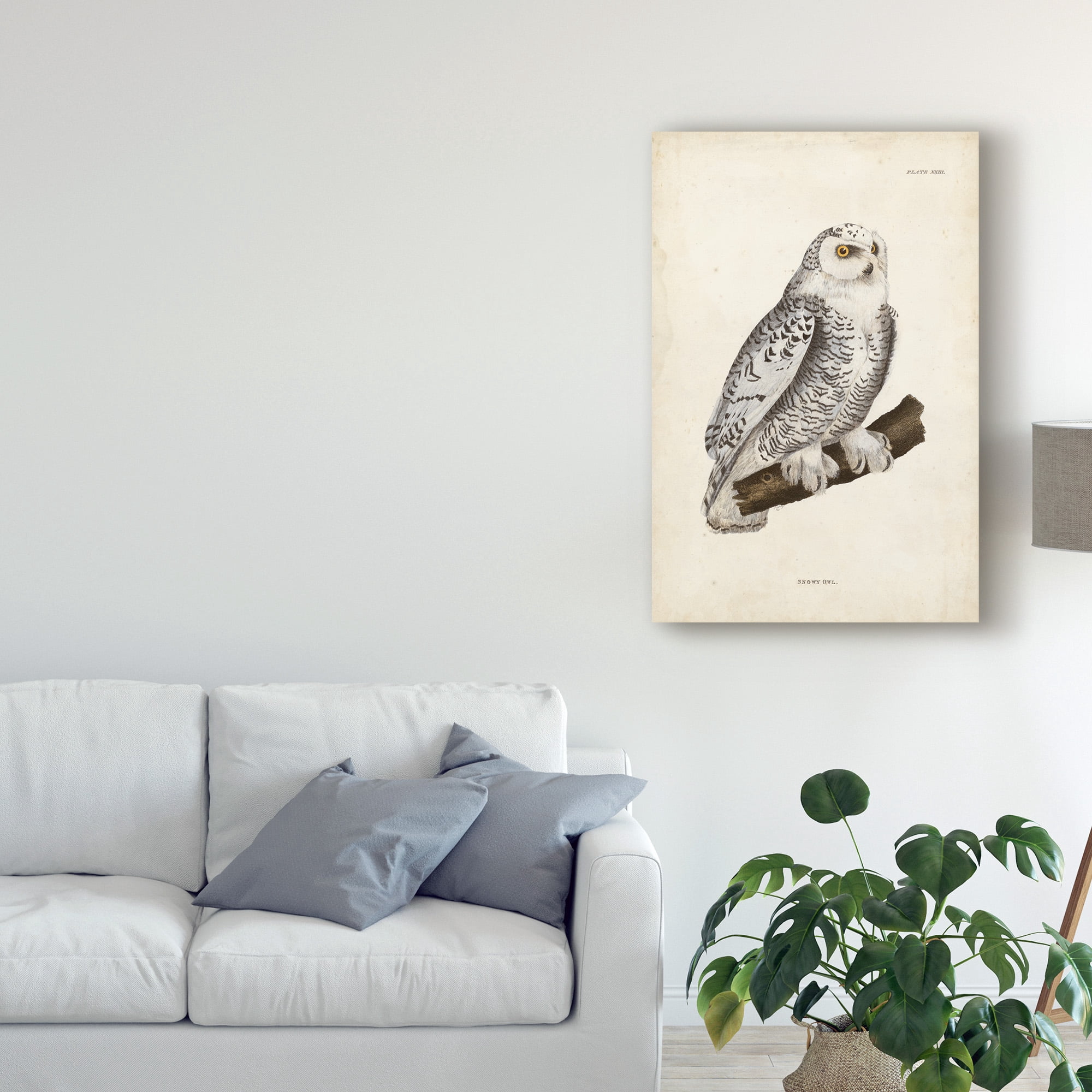 Trademark Fine Art 'Snowy Owl White' Canvas Art by John Selby