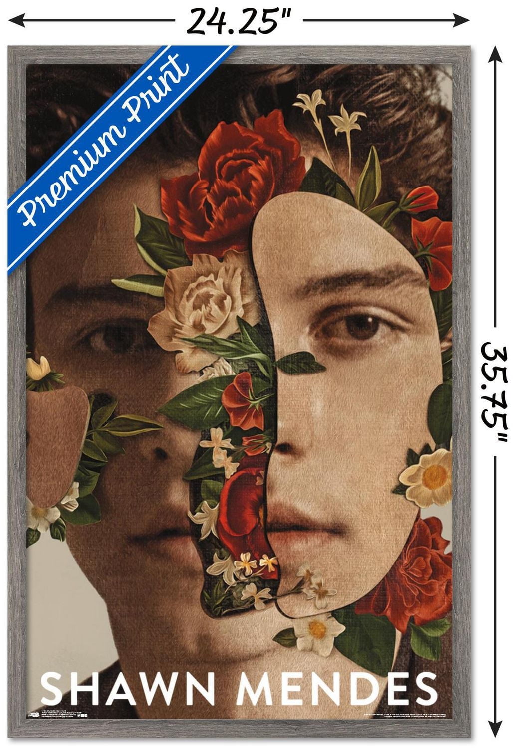Shawn Mendes - Floral Wall Poster, 22.375" x 34"