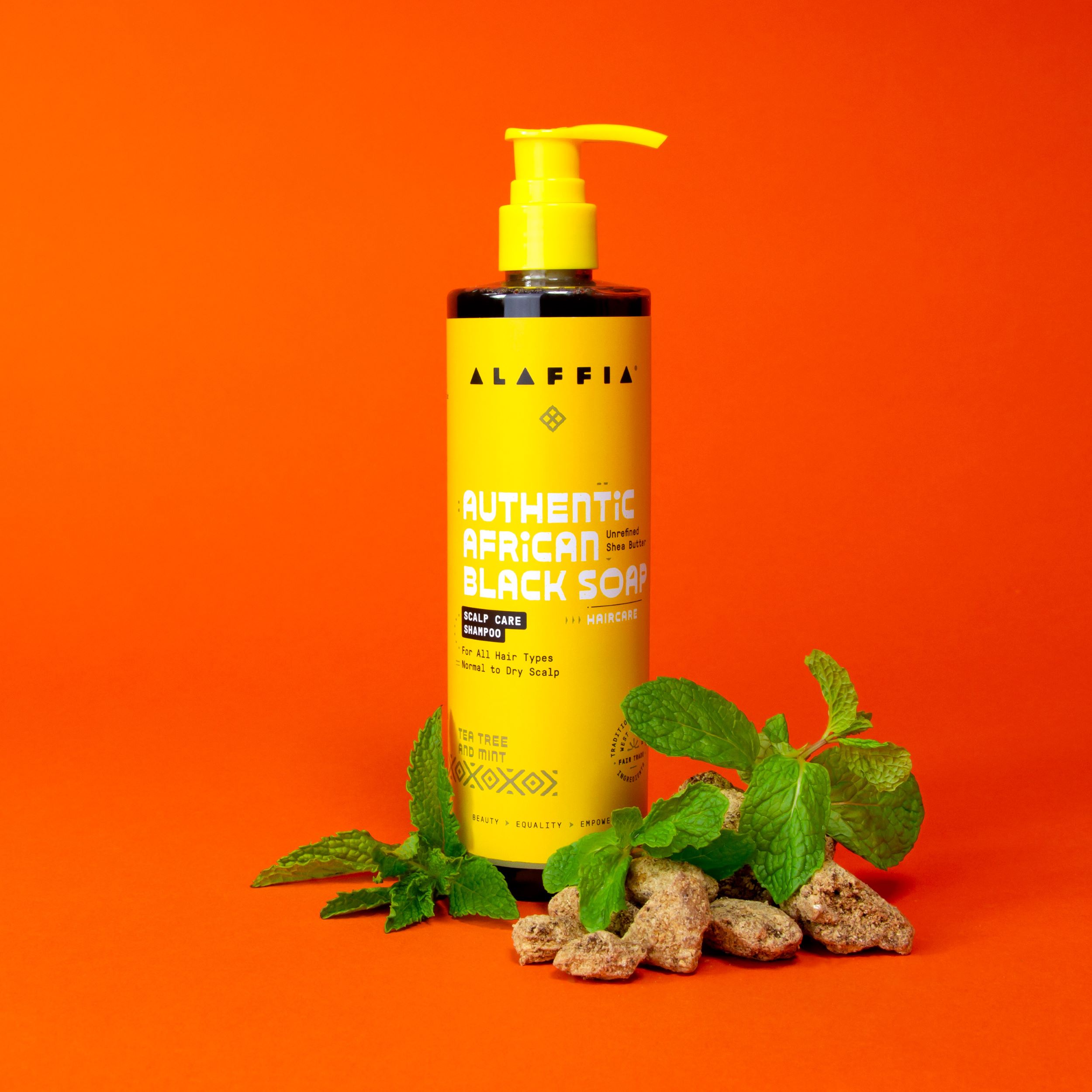 Alaffia African Black Soap Tea Tree and Mint Scalp Care Daily Shampoo, 12 fl oz - image 3 of 15