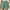 Mint Green, variant on Double Shorts Womens Running Shorts Clearance Elastic Waist Inseam Summer Shorts Essentials Mid Rise Comfy Short Deals with Pockets AG XL