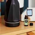 thumbnail image 2 of Edens Garden The Good Life Essential Oil Blend- 100% Pure Premium Grade, Undiluted, Natural, Therapeutic, Aromatherapy, The Best for Diffusing, Skin, Candle, Humidifiers 10 ml (.33 fl oz), 2 of 9