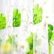 thumbnail image 5 of Cortinas opacas de tul con flores grandes para decoración de dormitorio (verde) Ndcxsfigh Nuevos Originales, 5 of 6